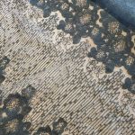 Тканина мереживна вишивка на сітці "Beau" 1635_01 Чорний