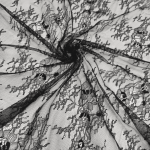 Мереживо "Шантільї" 9077_01 Чорний